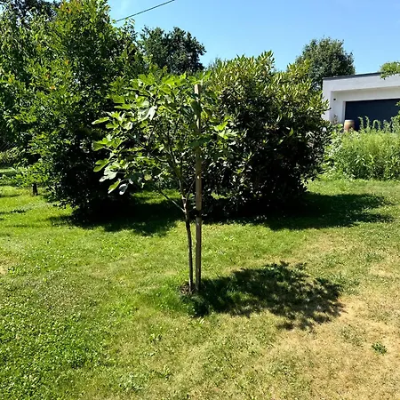 Apartment Ruheoase Am Bach In Lafnitz *