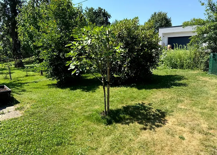 公寓 Ruheoase Am Bach In Lafnitz *